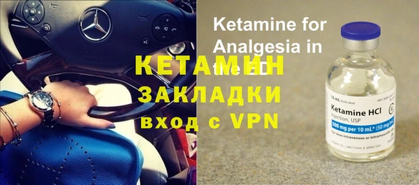 крисы Алексин