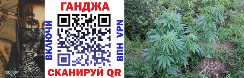 Бошки марихуана план Осташков